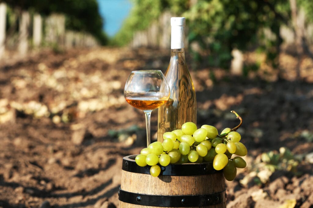 Crete Wine tour