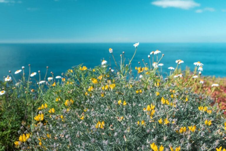 Greece in April