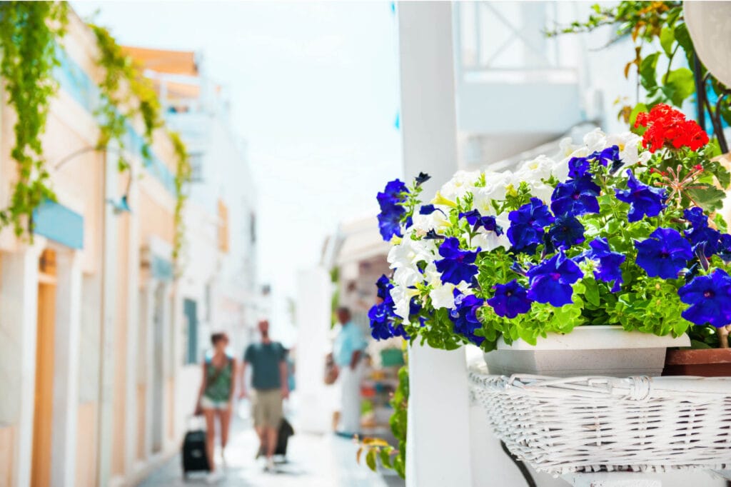 Creece in May